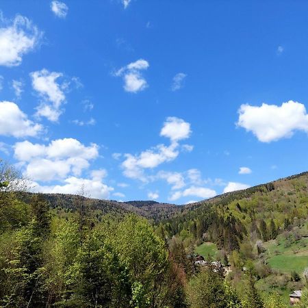 Villa Gold Yaremche Bagian luar foto